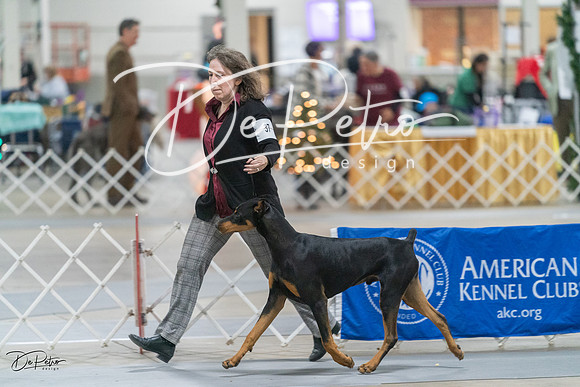 20231209-DSC08276