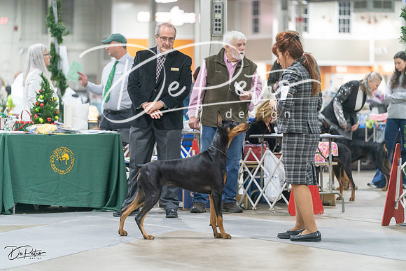 20231209-DSC08412