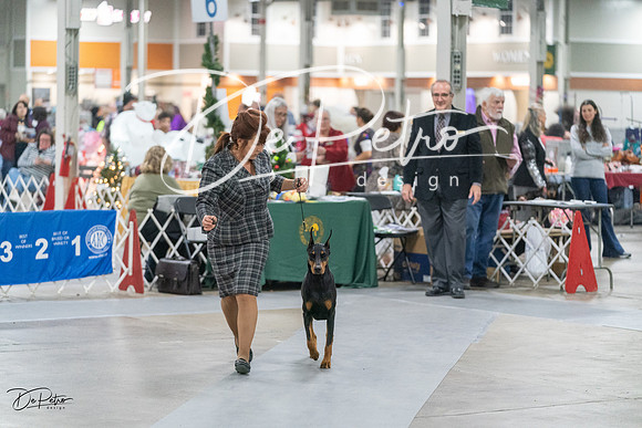 20231209-DSC08424