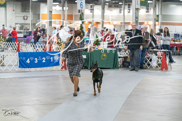 20231209-DSC08427