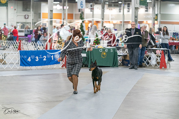 20231209-DSC08428