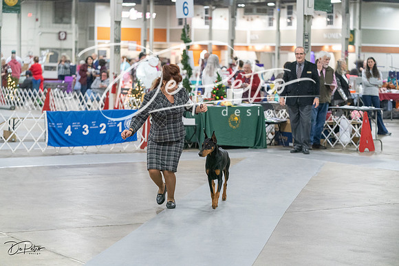 20231209-DSC08429