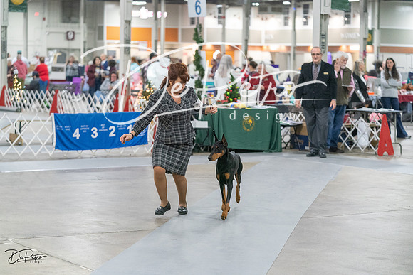 20231209-DSC08430