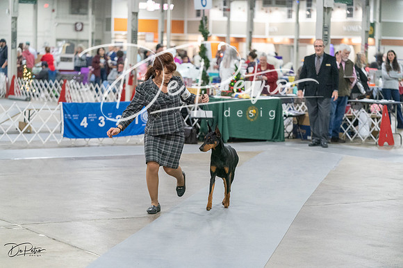 20231209-DSC08434