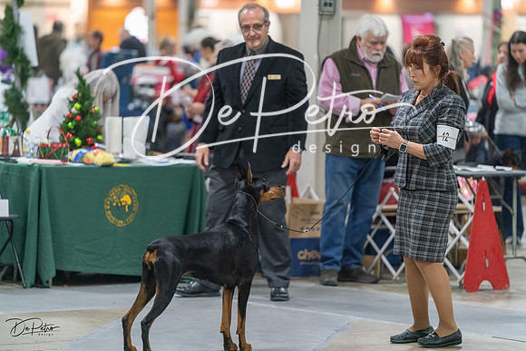 20231209-DSC08435