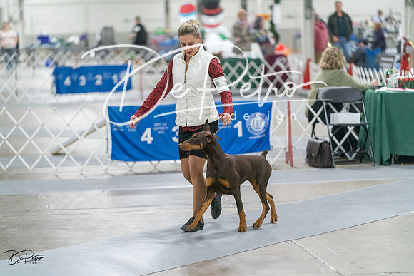 20231209-DSC08481