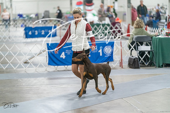 20231209-DSC08482