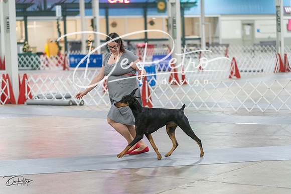 20231209-DSC08516