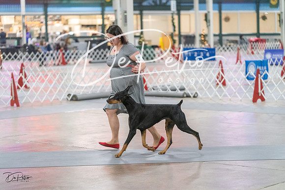 20231209-DSC08526