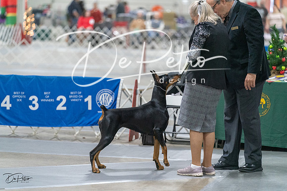 20231209-DSC08564