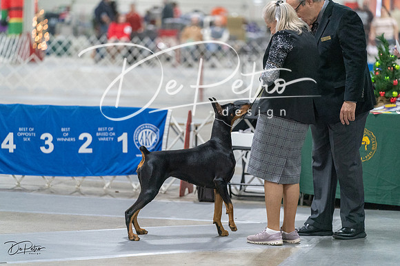 20231209-DSC08565