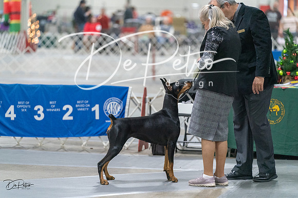 20231209-DSC08568