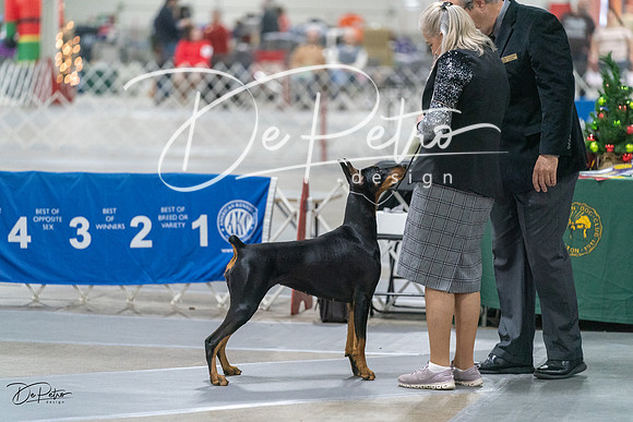 20231209-DSC08570