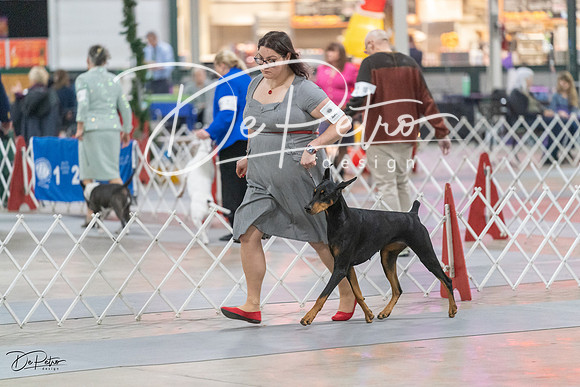 20231209-DSC08584