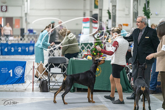 20231209-DSC08751
