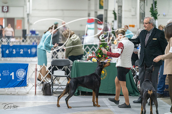 20231209-DSC08752