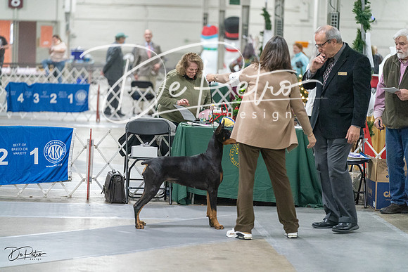 20231209-DSC08782
