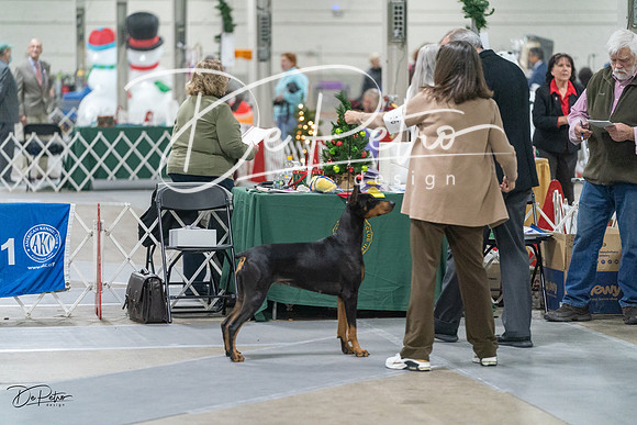 20231209-DSC08786