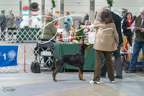 20231209-DSC08787