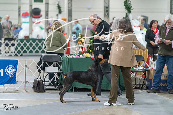 20231209-DSC08795