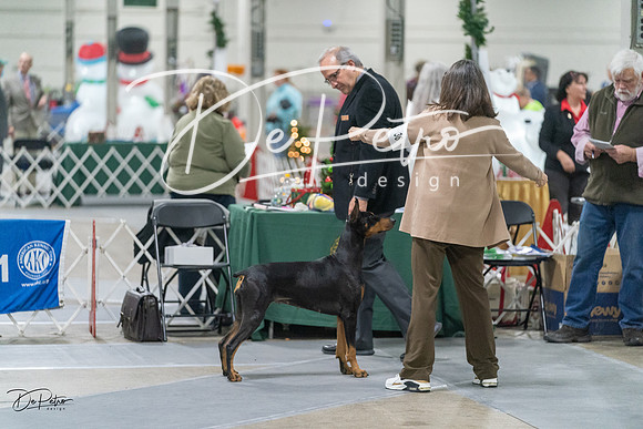 20231209-DSC08797
