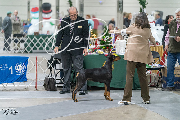 20231209-DSC08798