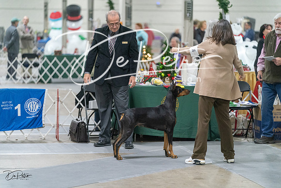 20231209-DSC08800