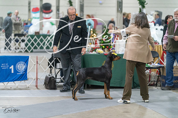 20231209-DSC08801