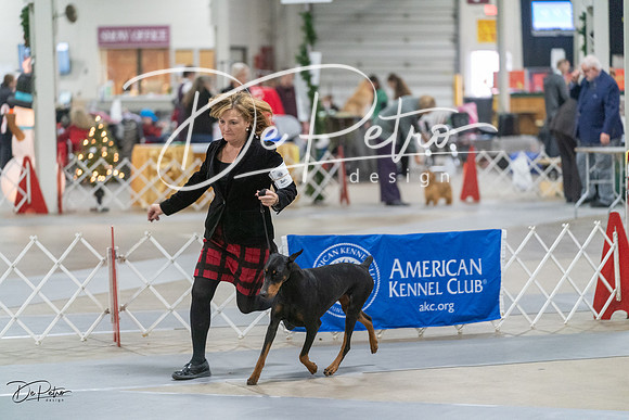 20231209-DSC08815