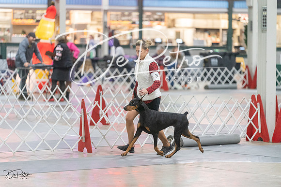 20231209-DSC08823