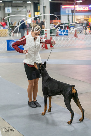 20231209-DSC08850