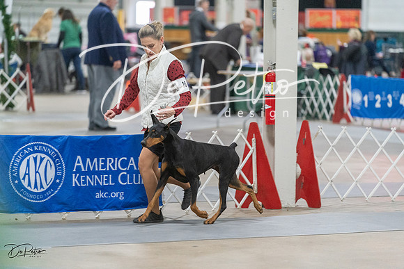 20231209-DSC08844