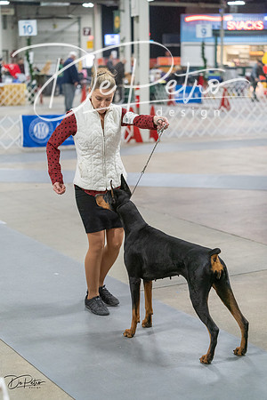 20231209-DSC08853