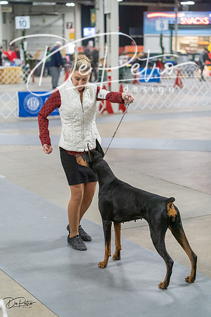 20231209-DSC08854