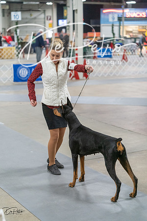 20231209-DSC08855