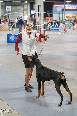 20231209-DSC08856