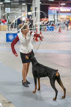 20231209-DSC08858