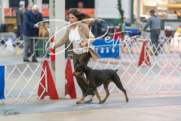 20231209-DSC08874