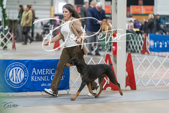 20231209-DSC08883