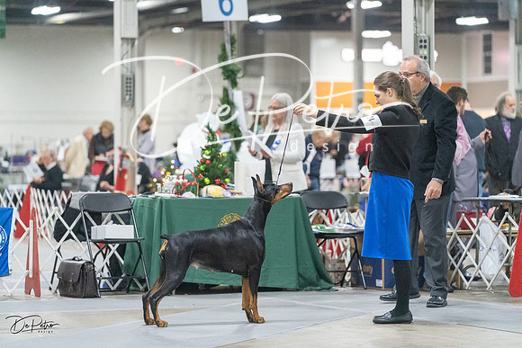 20231209-DSC08946