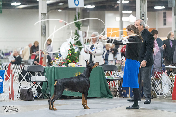 20231209-DSC08947