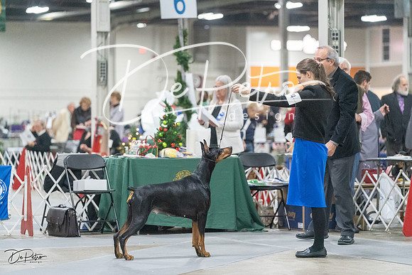 20231209-DSC08948