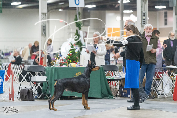 20231209-DSC08949