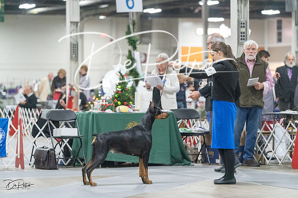 20231209-DSC08951