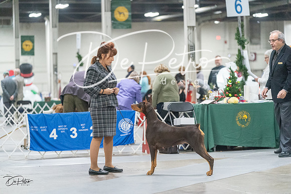 20231209-DSC09010