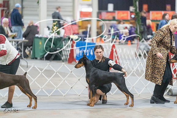 20231209-DSC09047