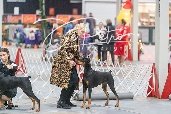 20231209-DSC09049