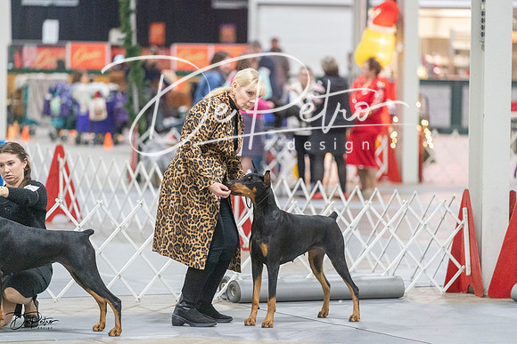 20231209-DSC09052