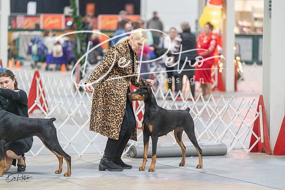 20231209-DSC09057