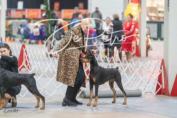 20231209-DSC09058
